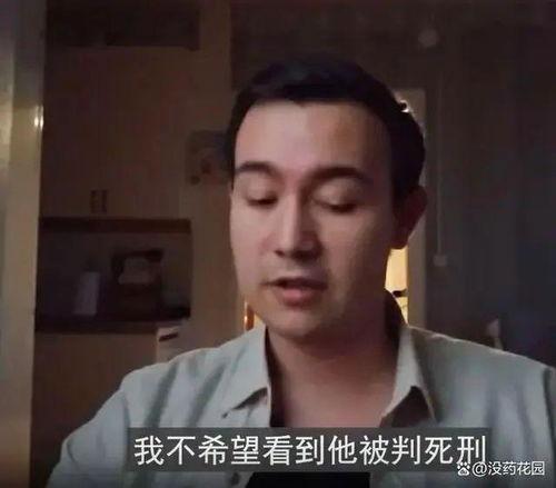 天涯爆料洪晃视频大全集,揭秘天涯爆料背后的真实故事  第3张